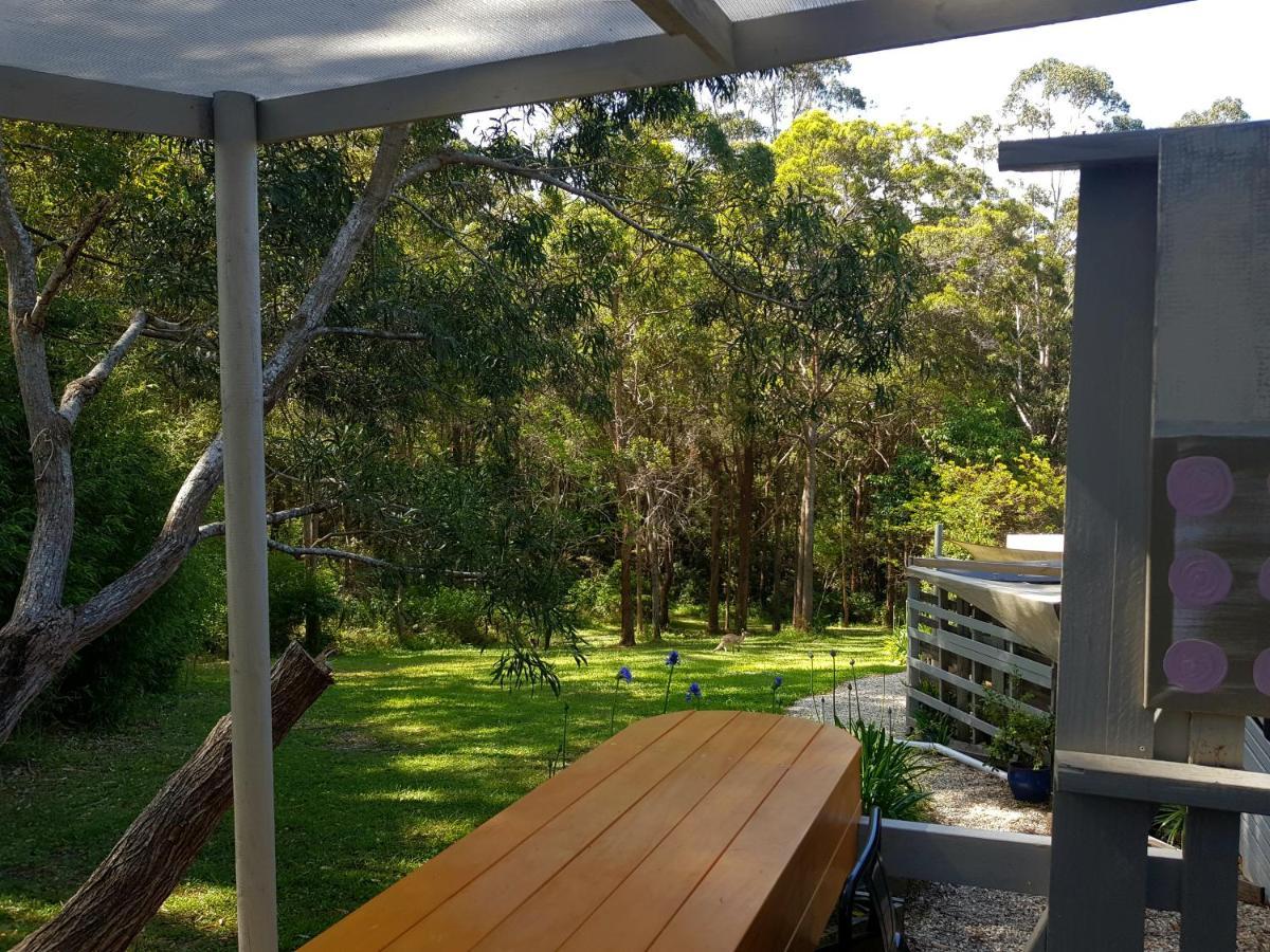 Forest View Bungalow Nambucca Heads Exteriér fotografie