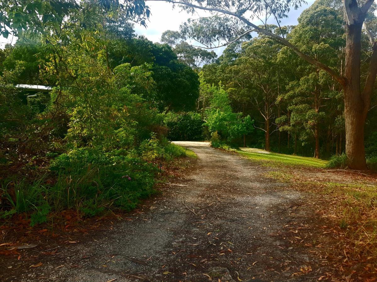 Forest View Bungalow Nambucca Heads Exteriér fotografie