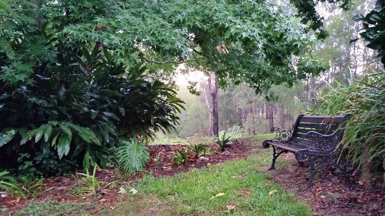 Forest View Bungalow Nambucca Heads Exteriér fotografie