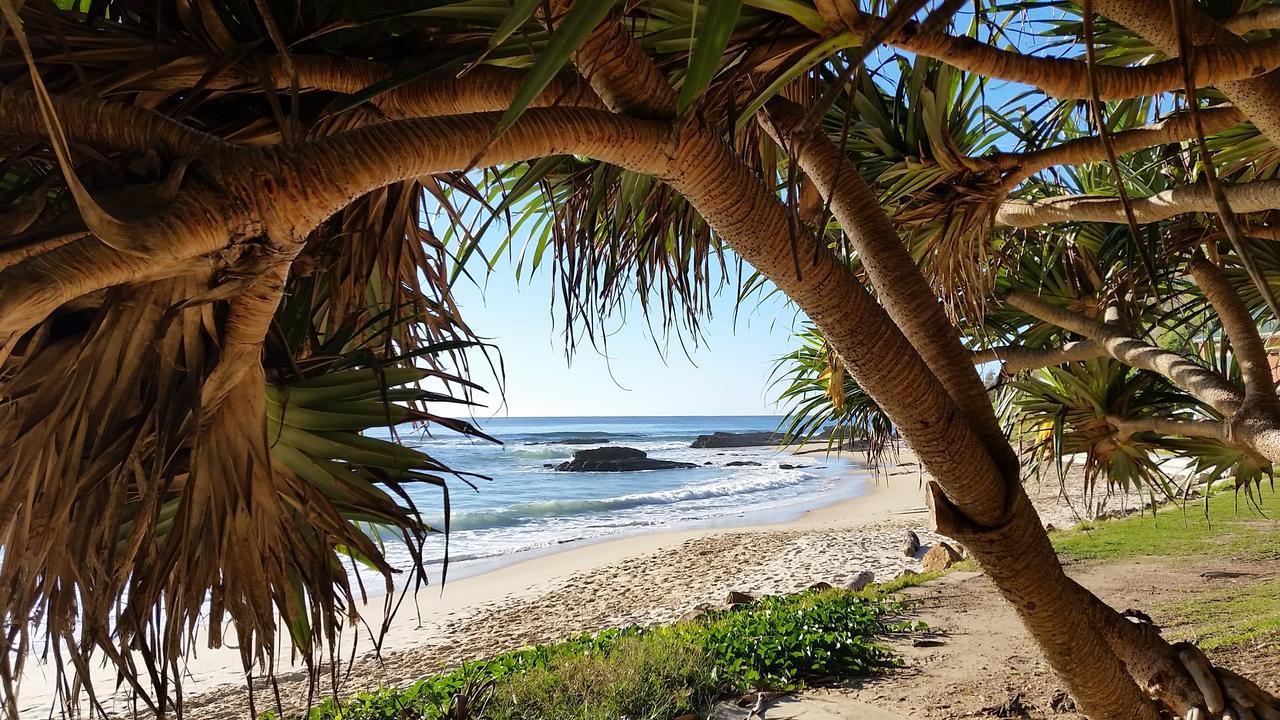 Forest View Bungalow Nambucca Heads Exteriér fotografie