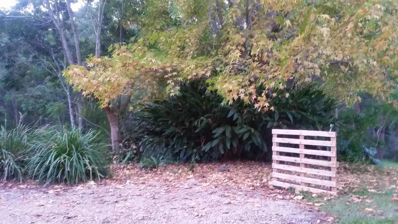 Forest View Bungalow Nambucca Heads Exteriér fotografie